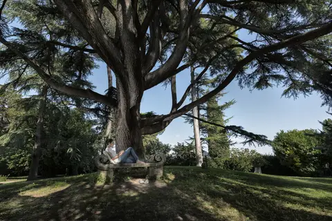 Posta Donini in Perugia — foto 3