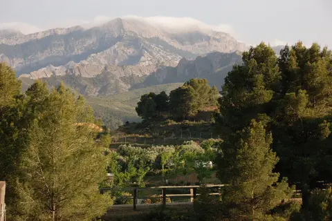 Terra Alta in Bot, foto 5