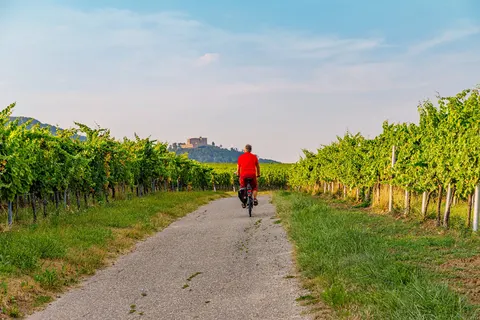 Ontdek de Duitse Wijnroute vanuit Bad Dürkheim foto 4