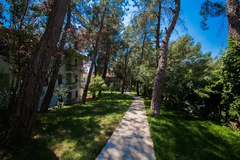 Hotel Greenland in Beyoğlu — foto 3