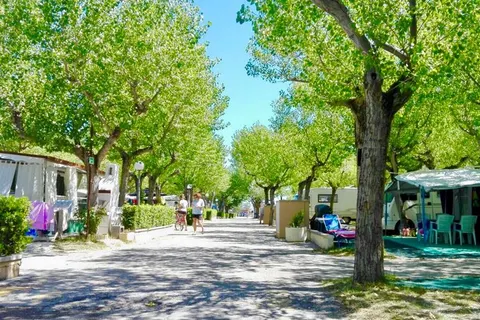 Riccione Easy Camping Village foto 10