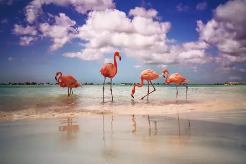 Renaissance Wind Creek Aruba Resort in Oranjestad — foto 17