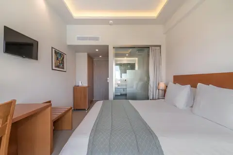 Hotel Palmyra in Argassi, foto 7