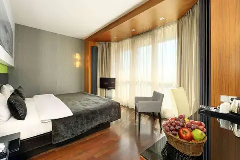Hotel Ametyst Prague in Praag, foto 7