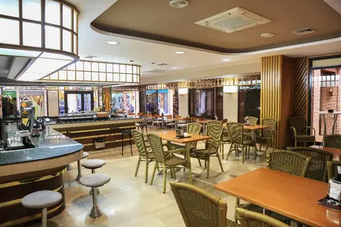 Hotel Las Tablas in Daimiel — foto 13