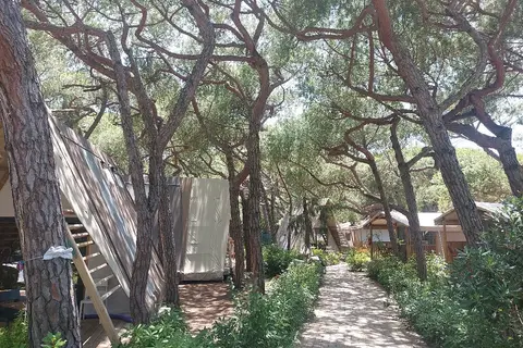 Capannino Camping Village in Bibbona — foto 12