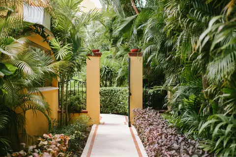 Occidental Cozumel in Cancún — foto 7