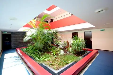 S. Pedro in Arouca — foto 2