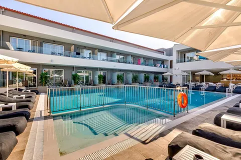 White Olive Premium foto 3