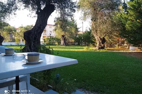 Ever Green in Δημοτική Ενότητα Λευκιμμαίων — foto 24