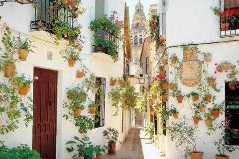 8 daagse fly drive Authentiek Andalusië foto 4