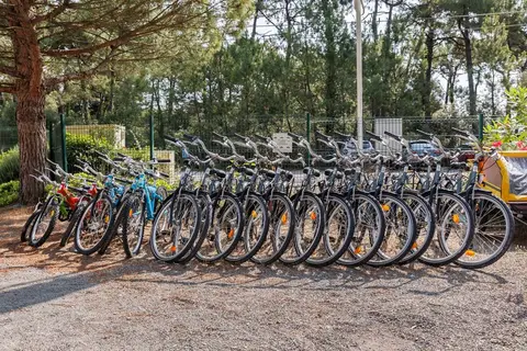 Camping Le Bois De La Gachère in Les Sables-d'Olonne — foto 23