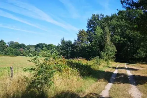 Camping Geelenhoof foto 14