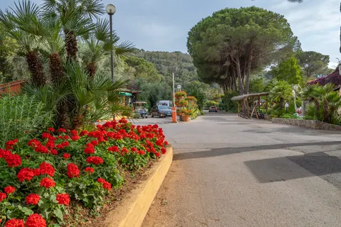 Camping Rosselba Le Palme foto 5
