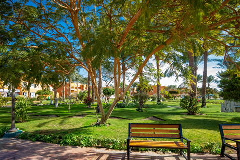 Sentido Caribbean Soma Bay foto 15