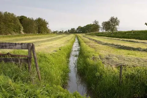 Suitelodges Gooilanden foto 16