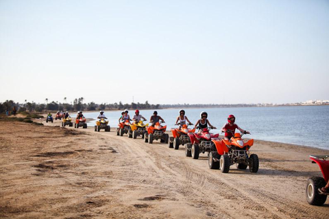 Hotel El Mouradi Palm Marina in El-Mouradi Palm Marina — foto 12