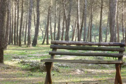 Camping La Sierrecilla foto 16