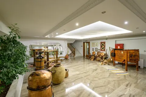 Hotel Europa Olympia in Αρχαία Ολυμπία — foto 18
