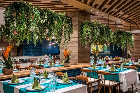 Calyptus Kirman Premium foto 5