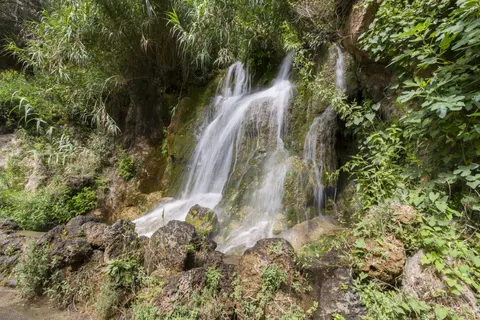 Camping Altomira foto 13