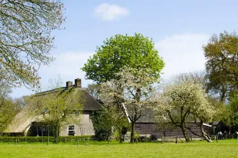 Herberg de Loohoeve foto 20