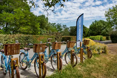 Flower Camping L Ile D Offard in Saumur — foto 19