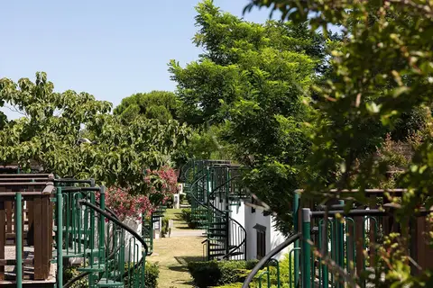 Residence Mare Pineta in Rome — foto 26