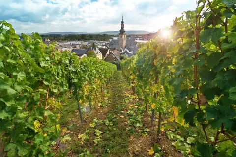 Over de Rijn naar Rüdesheim foto 2
