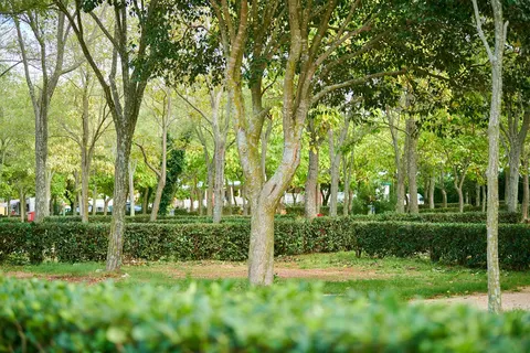 Camping Naturist Ulika in Poreč — foto 14