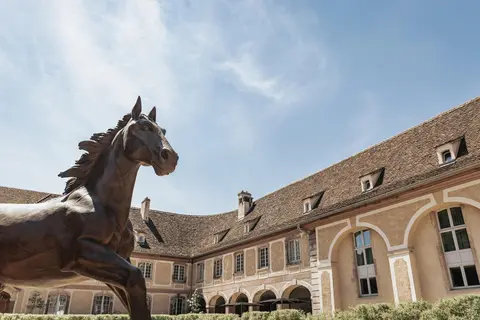 Hôtel Les Haras in Straatsburg, foto 16