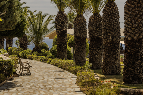 San Lorenzo Village Superior foto 18