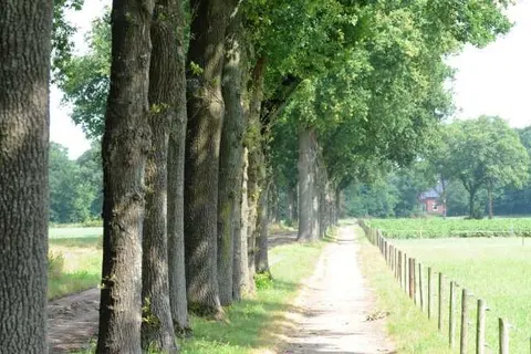 Bungalowpark Hoge Hexel foto 34