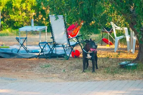 Gitavillage Talamone in Orbetello — foto 19