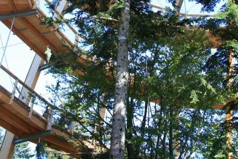 Hotel Landgasthof Hohenauer Hof foto 21