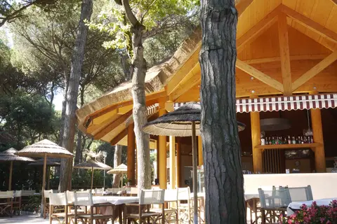 Camping Mare E Pineta in Comacchio — foto 11