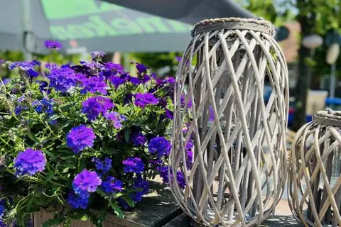 Hotel Onder de Linden foto 12