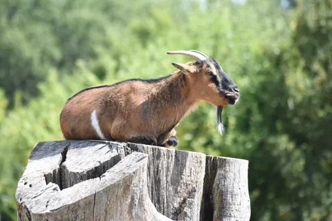 Le Camp De Florence foto 27