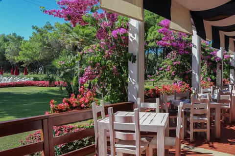 Camping Il Tridente foto 8