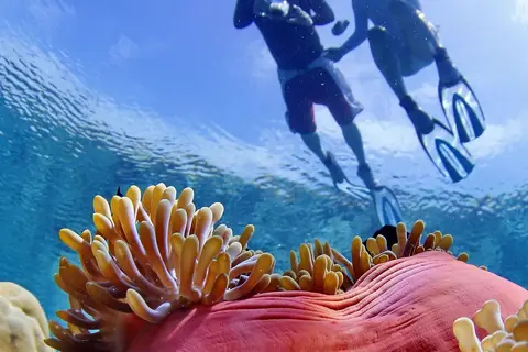 Kandima Maldives in ކުޑަހުވަދޫ — foto 28