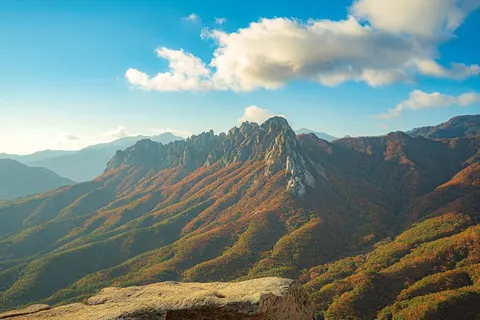 13-daagse rondreis Hoogtepunten van Zuid-Korea in Busan — foto 5
