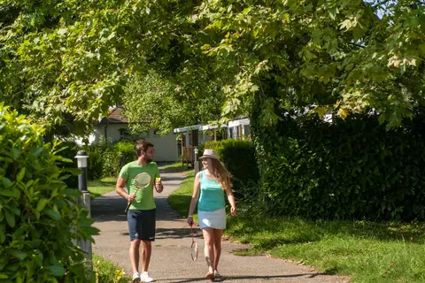 L Ile Du Rhin in Biesheim — foto 10