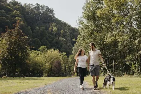 Arden Parks Signy-L&ampapos;Abbaye foto 11