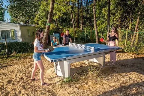 Camping Riez à La Vie in Saint-Hilaire-de-Riez — foto 23
