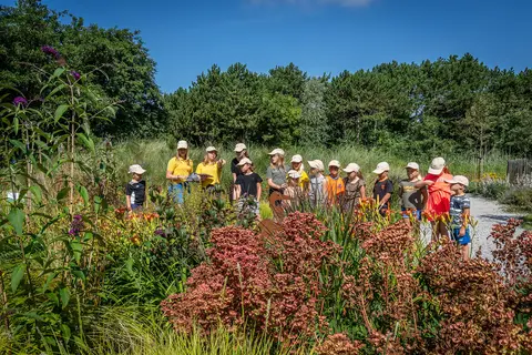 Villapark Residentie Texel in De Cocksdorp, foto 12