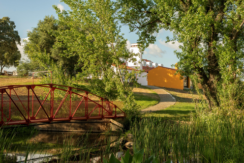 Aparthotel Herdade do Barrocal de Baixo foto 15