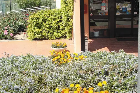 Vakantiepark Le Tre Isole foto 9