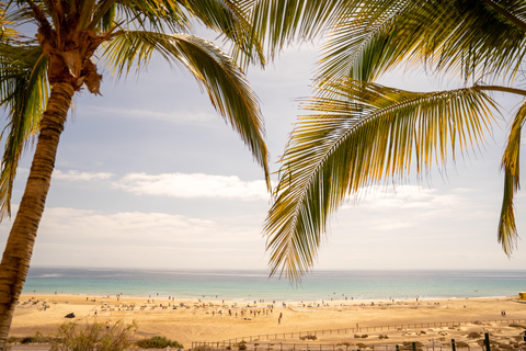 Iberostar Selection Fuerteventura Palace foto 19