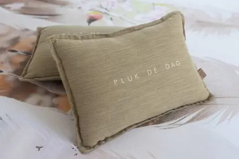 Bed and Breakfast Het Vinkenest foto 5