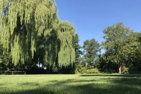 Boerderij De Wingerd foto 9